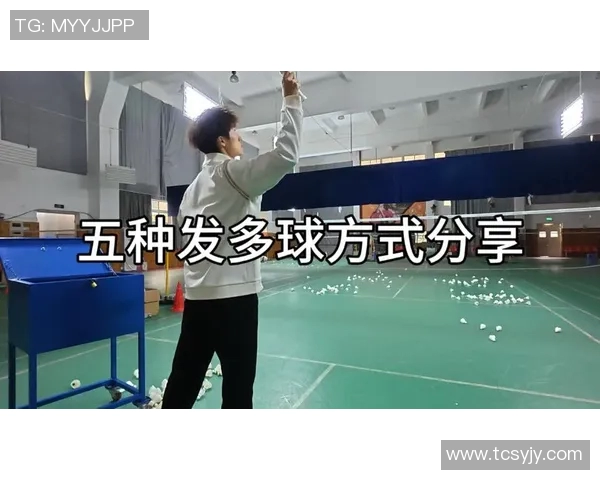 从零起步掌握羽毛球技巧与状态提升全攻略