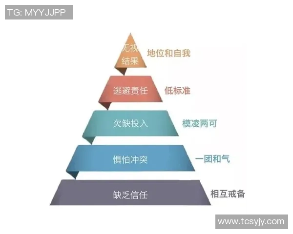 南京羽毛球队团队协作的成功秘诀与实践探索分析 南京羽毛球队团队协作的成功秘诀与实践探索分析